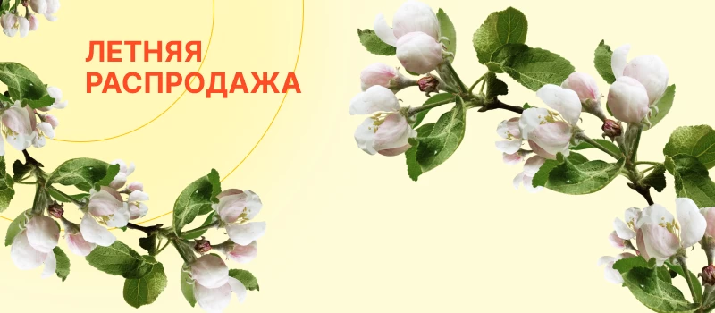 Летняя распродажа